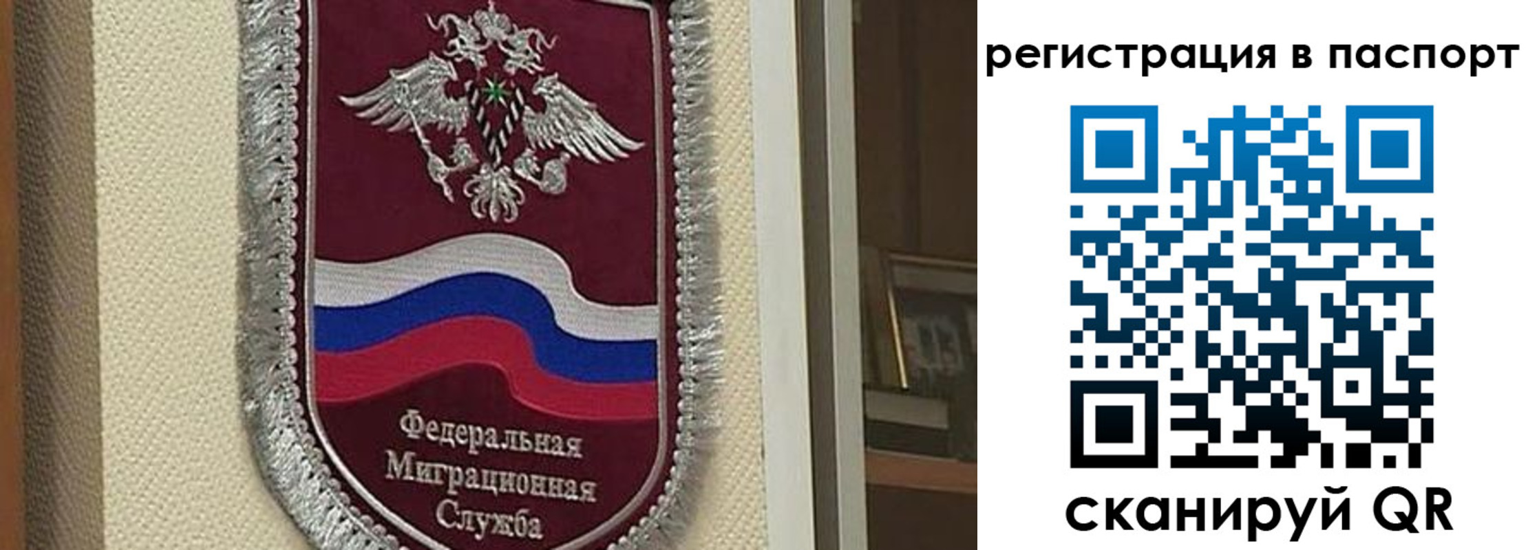 прописка законно в Новозыбкове
